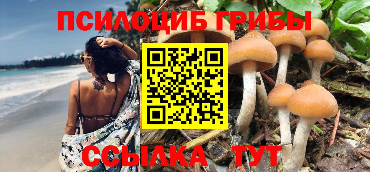 Галлюциногенные грибы Psilocybe  Вход с VPN  Кинель  Псилоцибиновые грибы мухоморы 
